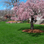 New England Green Lawn Care