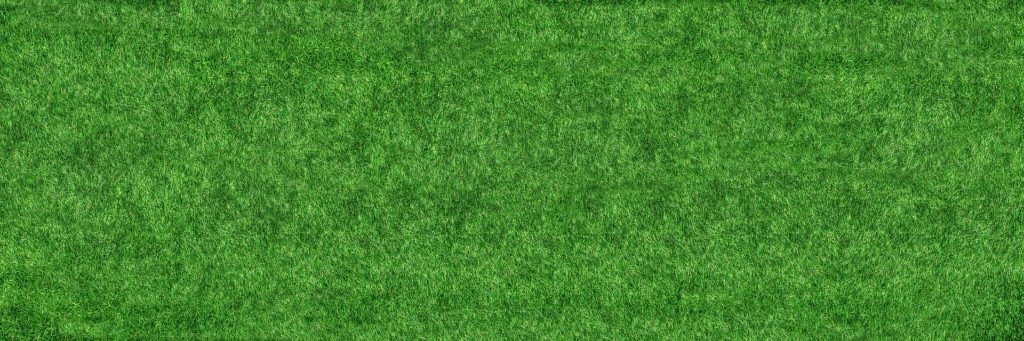 Does your grass have lawn fungus?