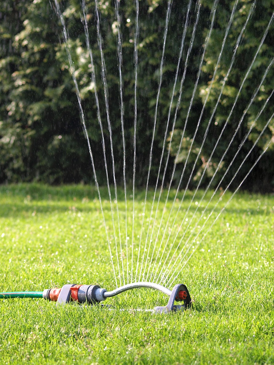 lawn-sprinkler-2366752_1280